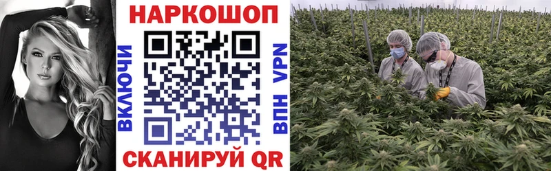 Что такое Медвежьегорск МАРИХУАНА 