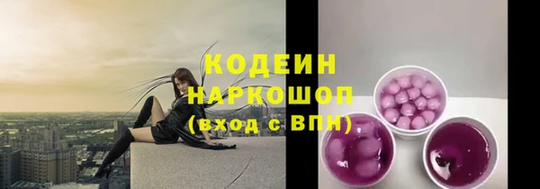 хмурый Лиски