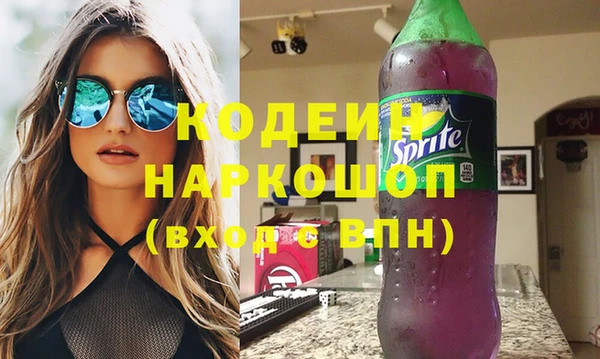 хмурый Лиски