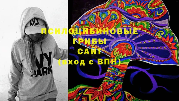 хмурый Лиски
