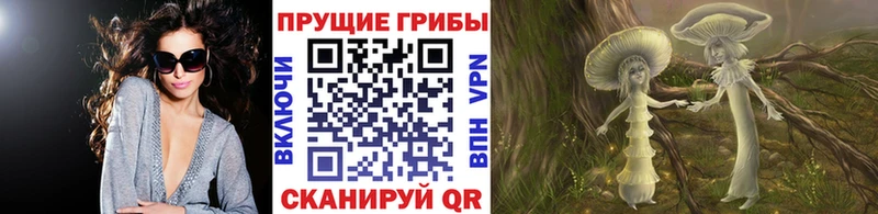 Галлюциногенные грибы мицелий  Медвежьегорск 